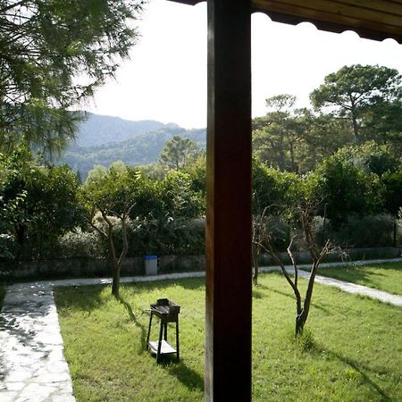 Ferienwohnung Seker Bungalov Çıralı Exterior foto