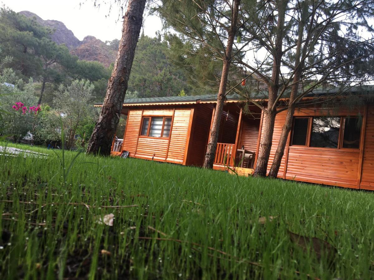 Ferienwohnung Seker Bungalov Çıralı Exterior foto