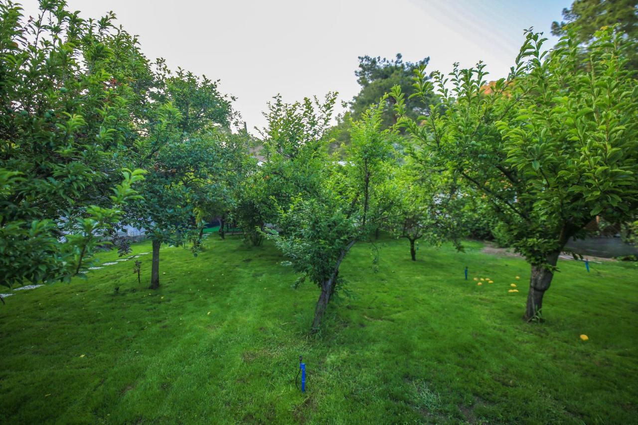 Ferienwohnung Seker Bungalov Çıralı Exterior foto