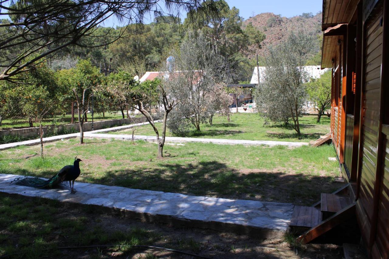 Ferienwohnung Seker Bungalov Çıralı Exterior foto