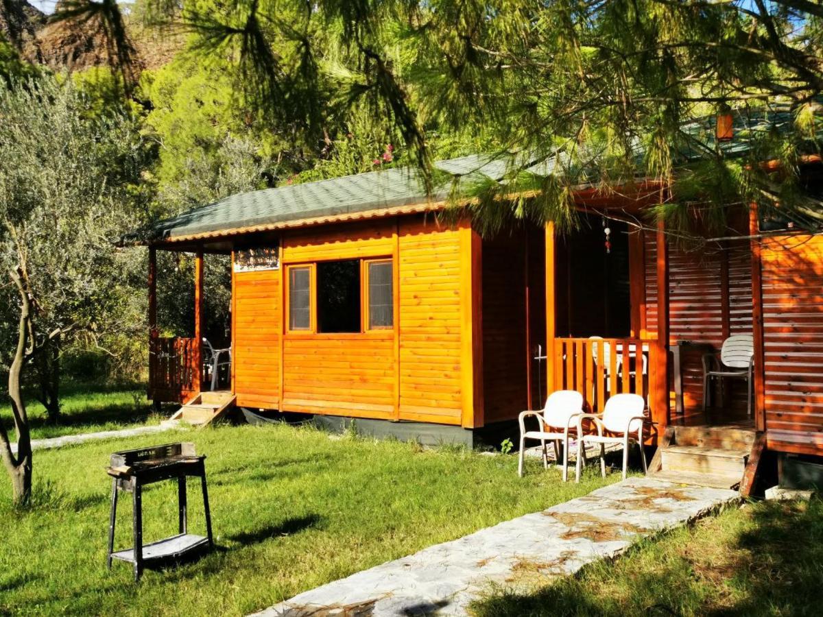 Ferienwohnung Seker Bungalov Çıralı Exterior foto