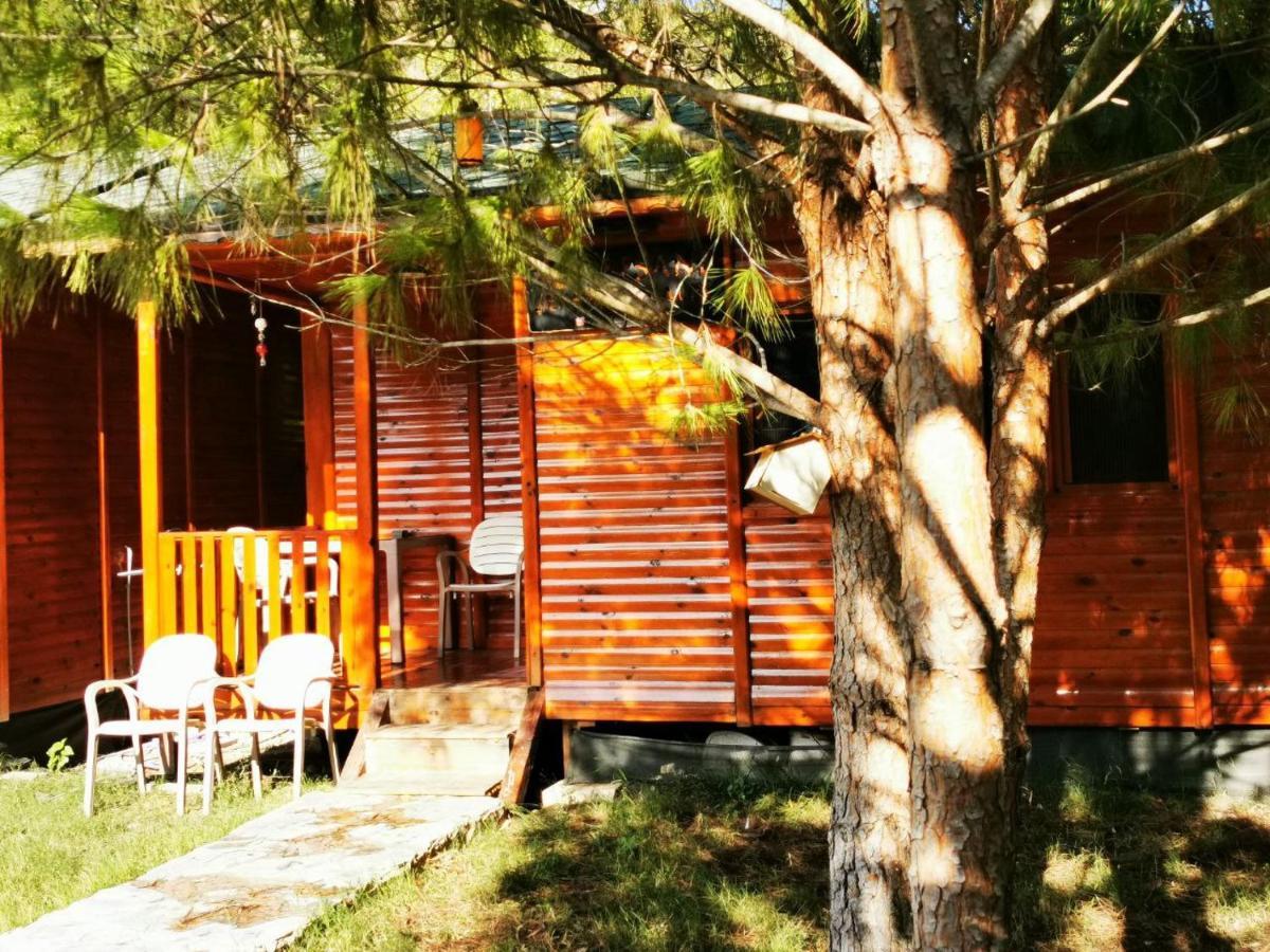 Ferienwohnung Seker Bungalov Çıralı Exterior foto